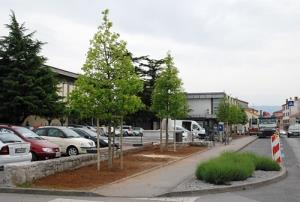 Zaključena ureditev zelenice pred pošto v Sežani3